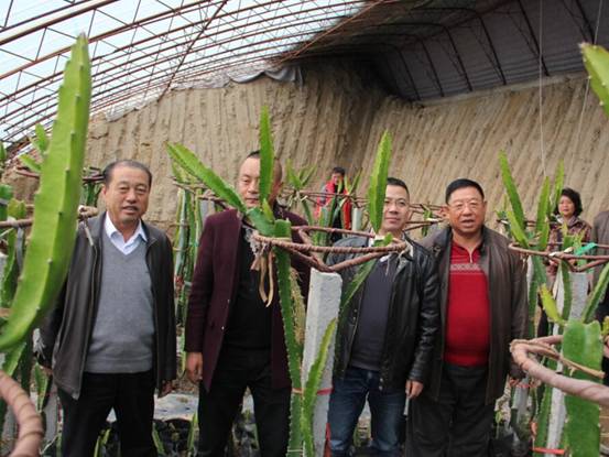 走進綠色產業(yè)享受健康生活