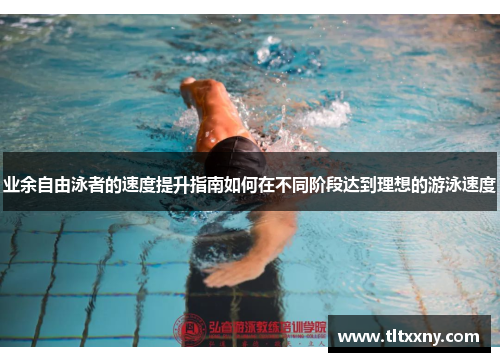 业余自由泳者的速度提升指南如何在不同阶段达到理想的游泳速度