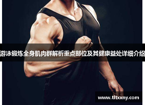 游泳锻炼全身肌肉群解析重点部位及其健康益处详细介绍